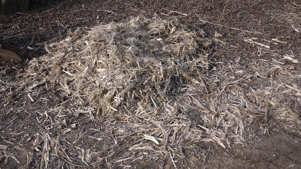 finely chopped corn stalks for compost