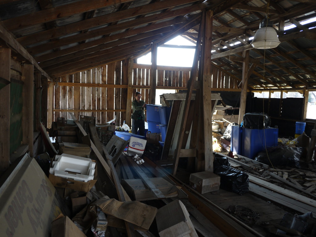 scavenging in the Tool Barn hay loft