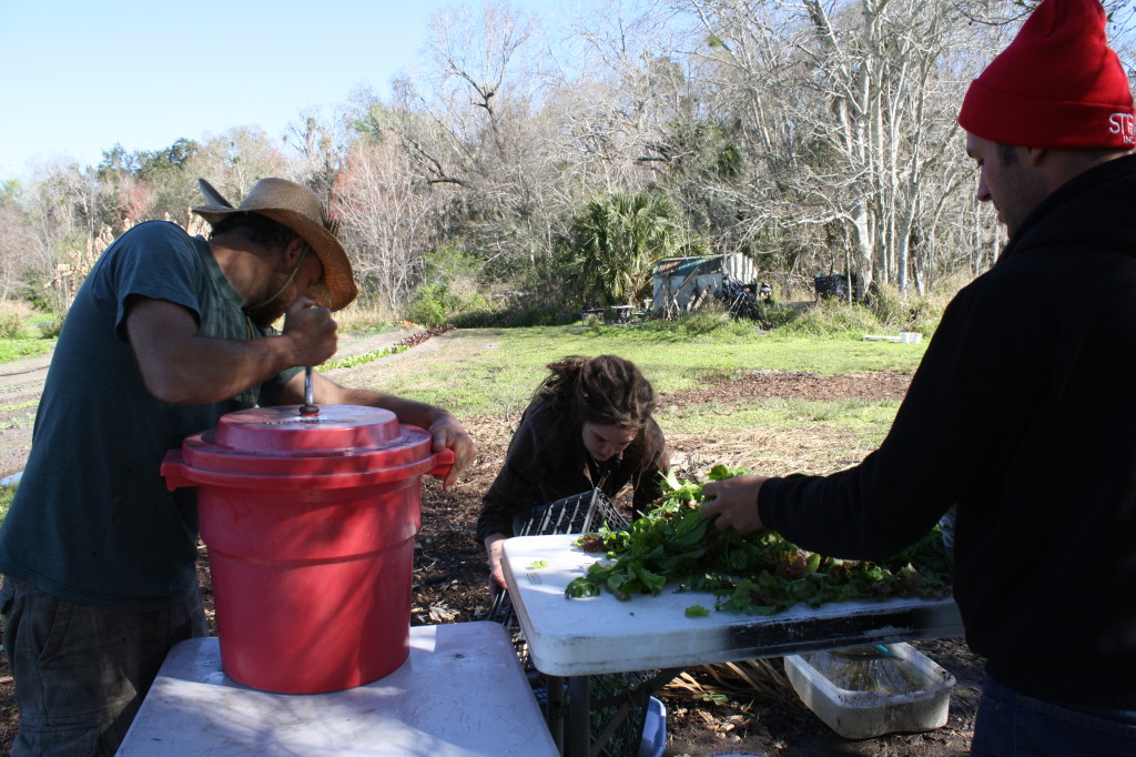 salad spinning