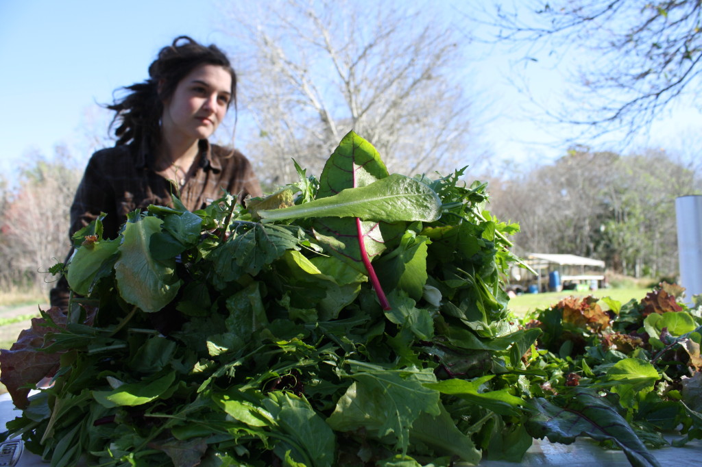 Dawn and the GFO's signature salad mix