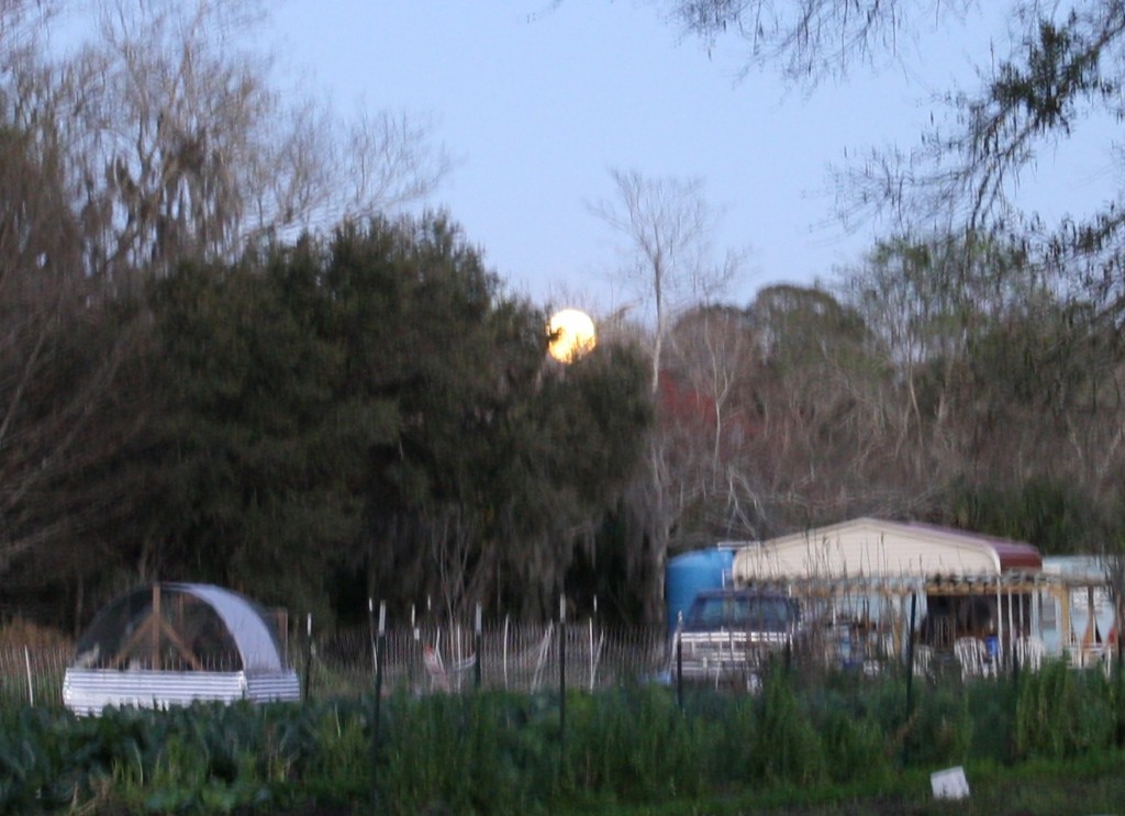 Full moon rising