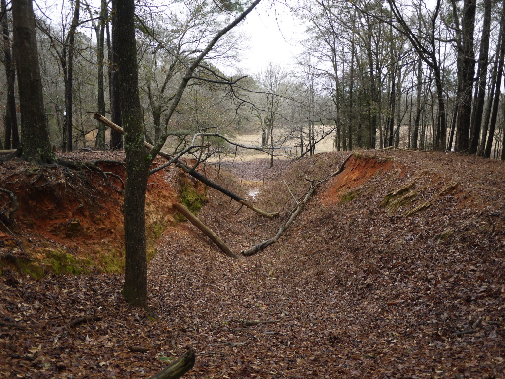 old silage pit once used to feed cows - Nathan would love to bury a school bus in it ...