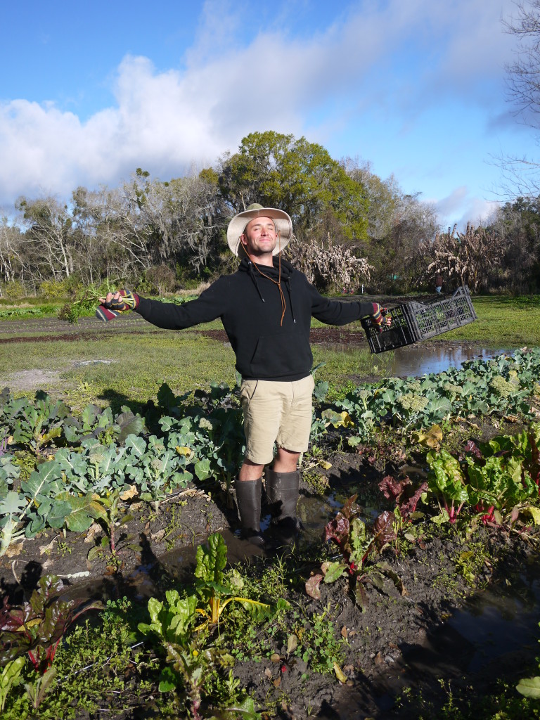 Alex: J Crew Farmer