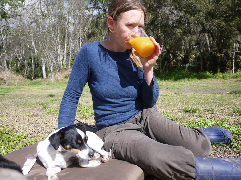 fresh from the tree OJ: nectar of the sun gods