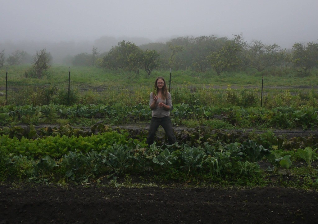 Kristin honeymoon farmin' in Florida