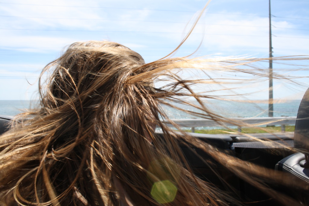 our friends Kari and Brian flew down to hang for the week ... and rented a convertible