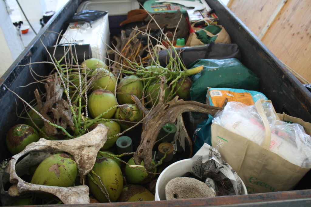 trailer packed with coconuts and ready to head north