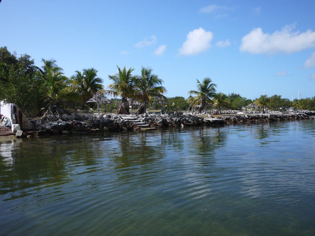 the view from the dock of the abandoned resort next door