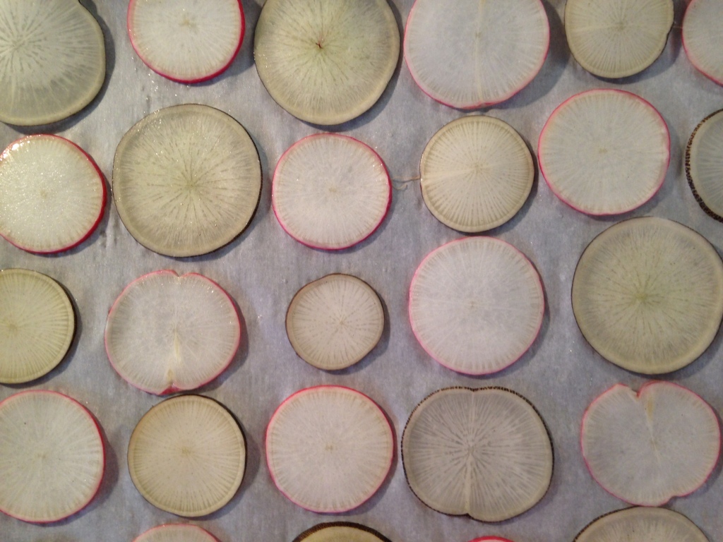radish slices on their way to becoming radish chips