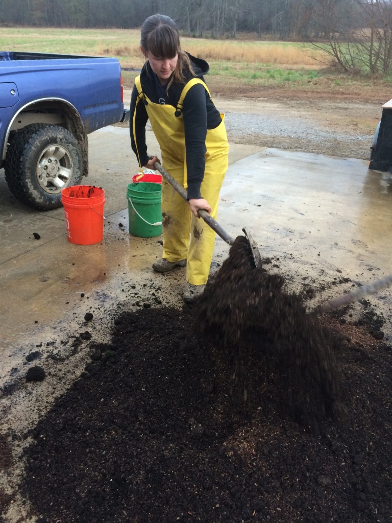 mixing up worm castings, chicken manure, and dirt into a batch of potting soil for the strawberry project