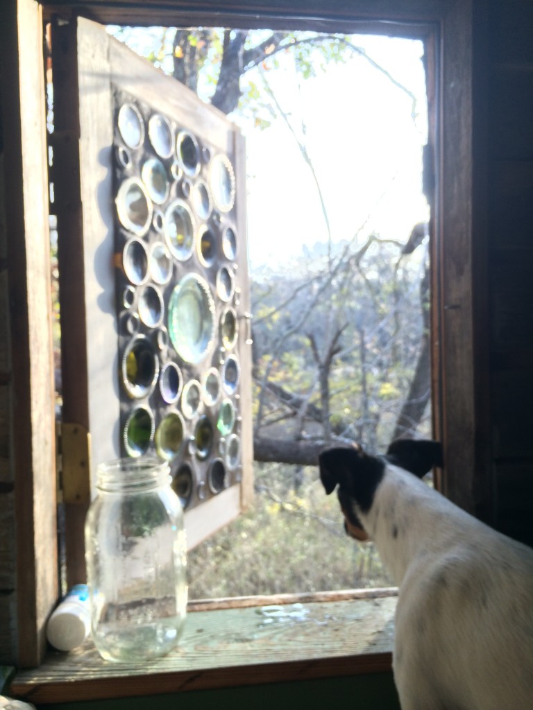 Widget greets the day from the cabin's loft