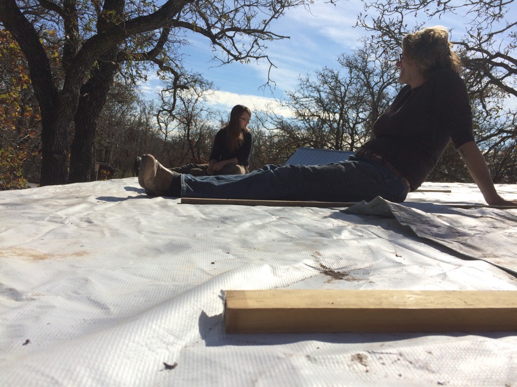 basking in both sunshine and satisfaction, after completing the bottlehouse roof