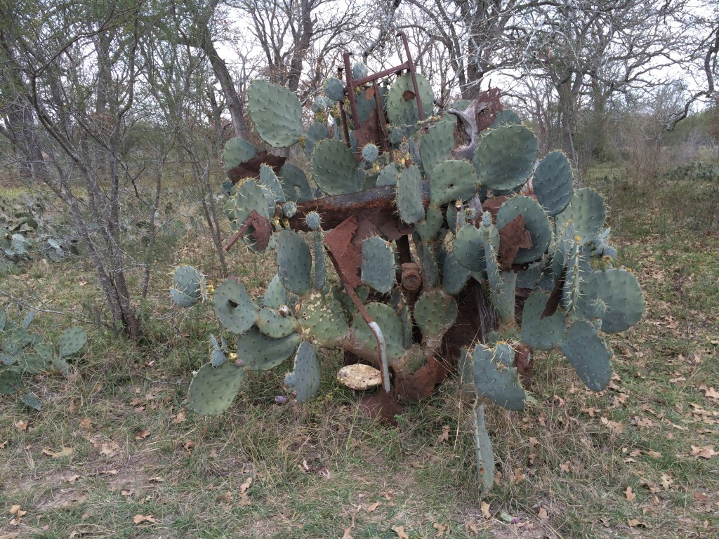 decorating a cacti with found rusty debris