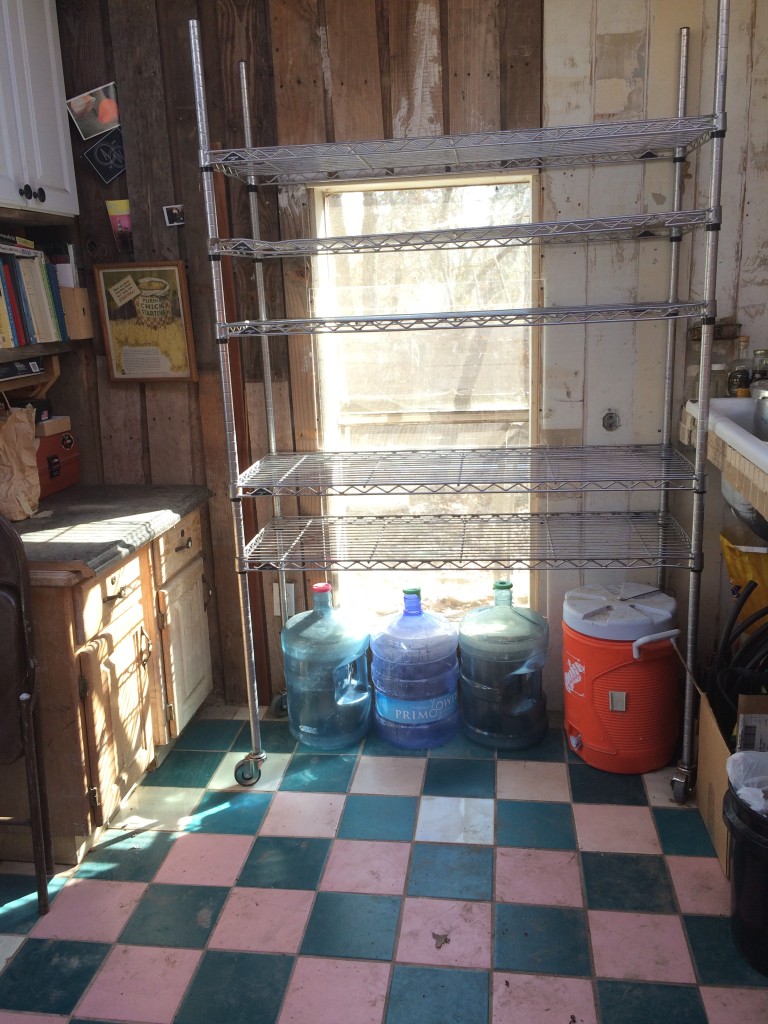 the newly-cleaned and organized tiny kitchen, ready for seed trays