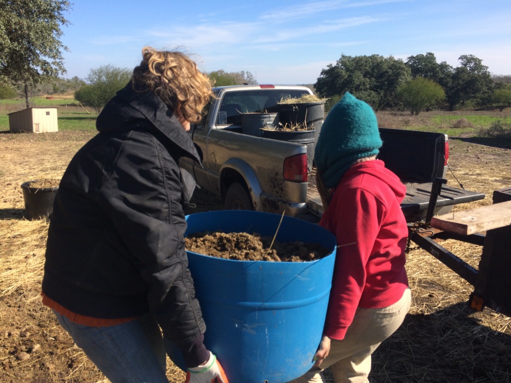 Ali & Kristin scavenging free manure