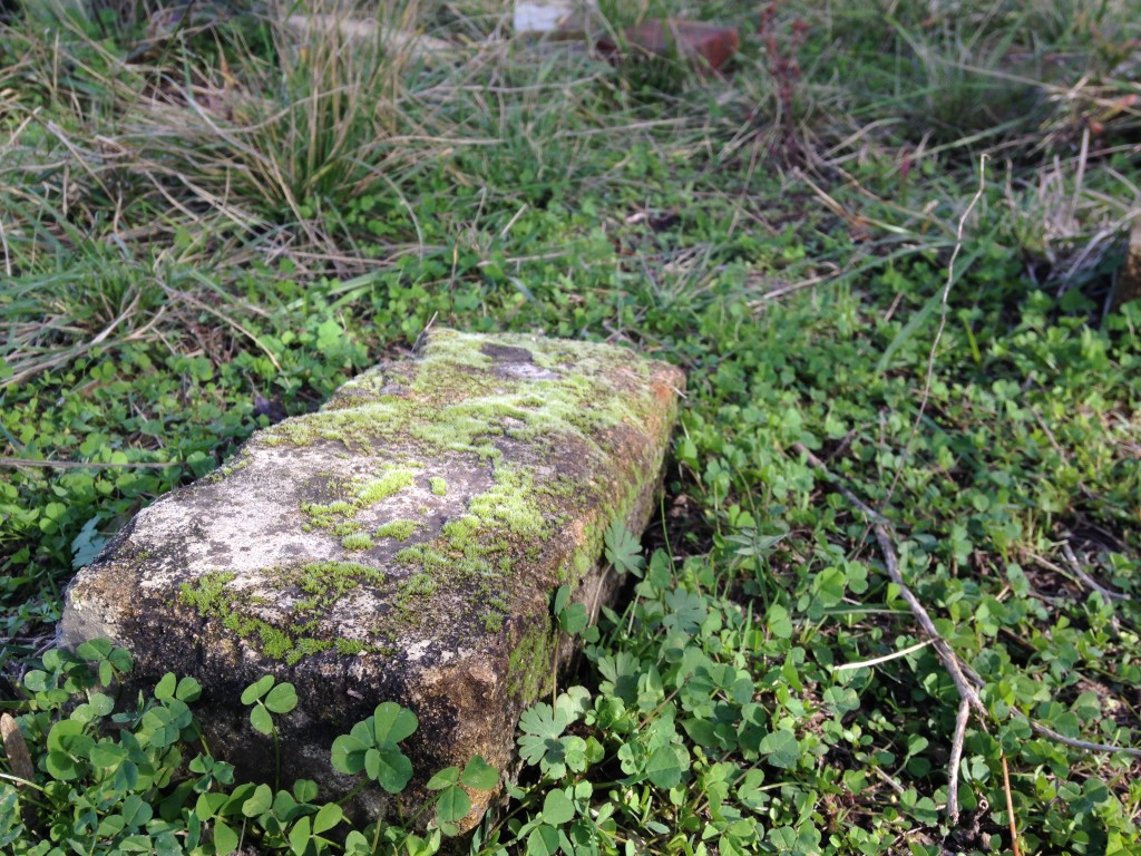 remains of Shane's grandmother's old house