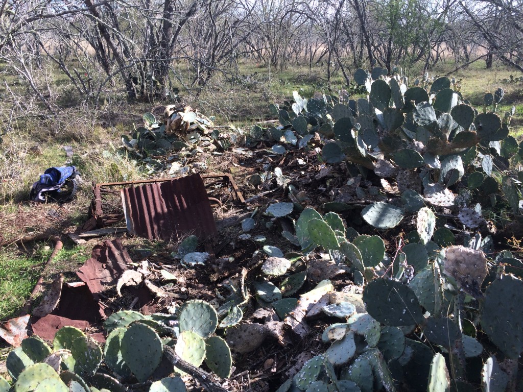 "Homestead #2" required us to chop down a thick stand of cacti to get to ... prickly work