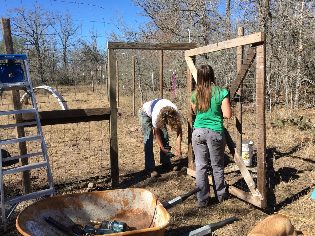 adding a gate to the new field