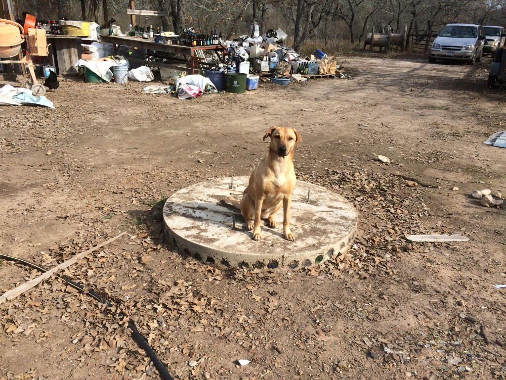 Lily posing on the tower foundation - the 3 spools can be seen in the background where we rolled them away post-demo