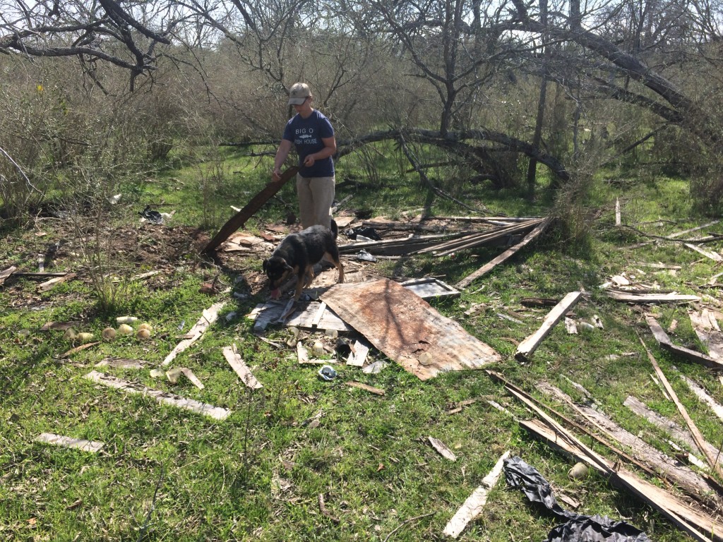 Lola helping Kristin scavenge in the ruins of Shane's grandmother's Depression-era homestead