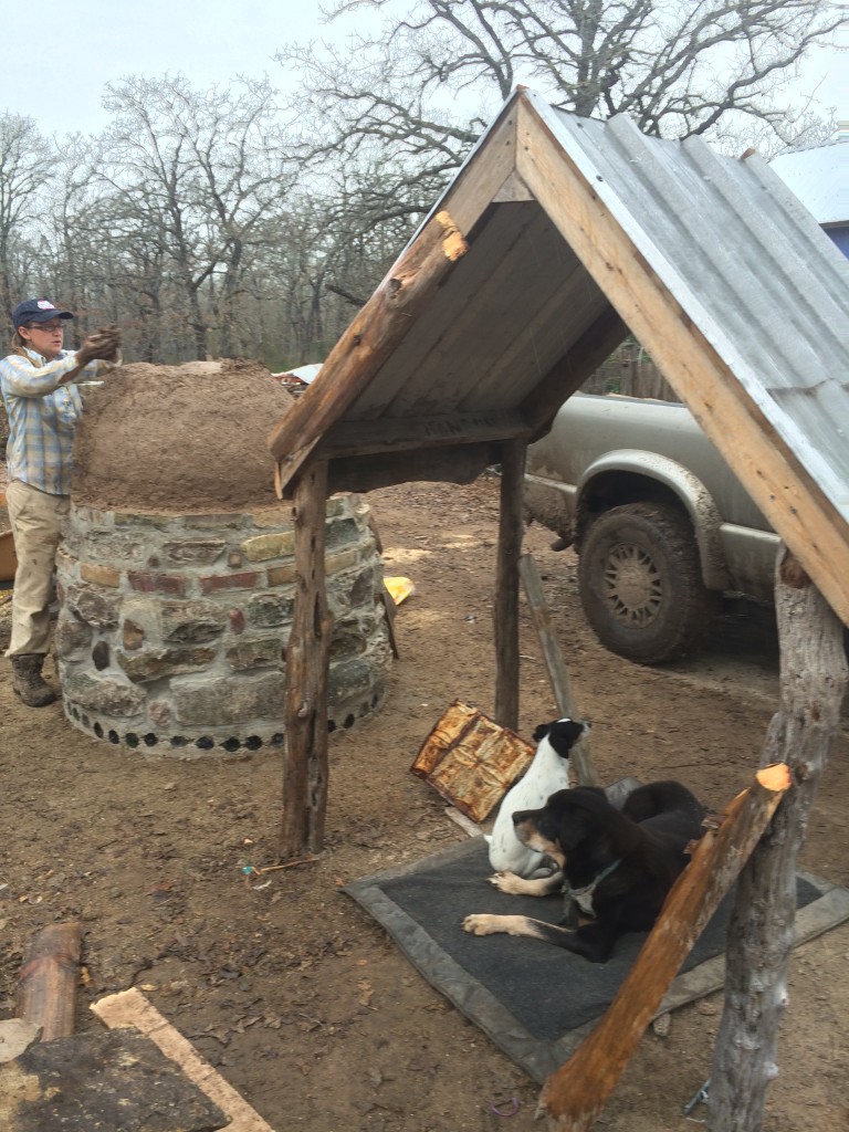 Widget & Cleo loved hanging out beneath the roof-in-progress & watching us work - here, the insulation layer is almost completed