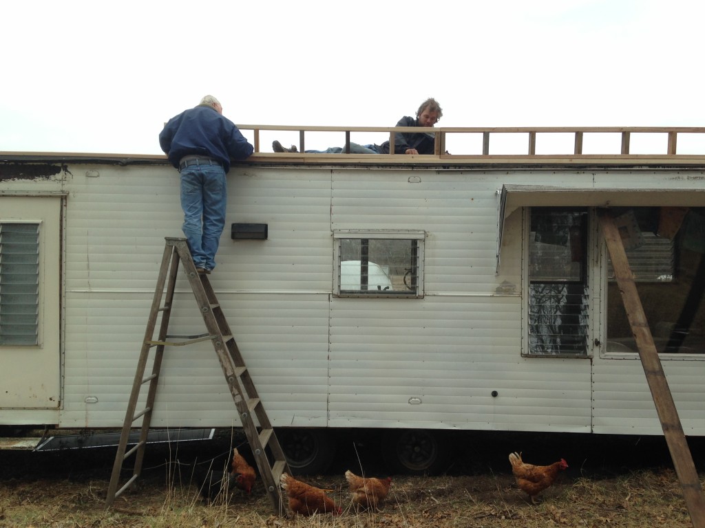 chickens considering free-ranging right up the ladder with Jim