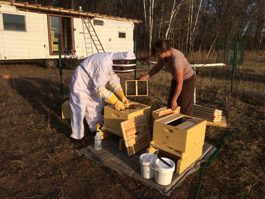 We got Jim some bee-keeping gear for Christmas, and he took a class ... next thing you know, he's in a bee suit, you're helping dump a hive of bees into a box, and everyone is getting stung. Except for the man in the suit of course ...