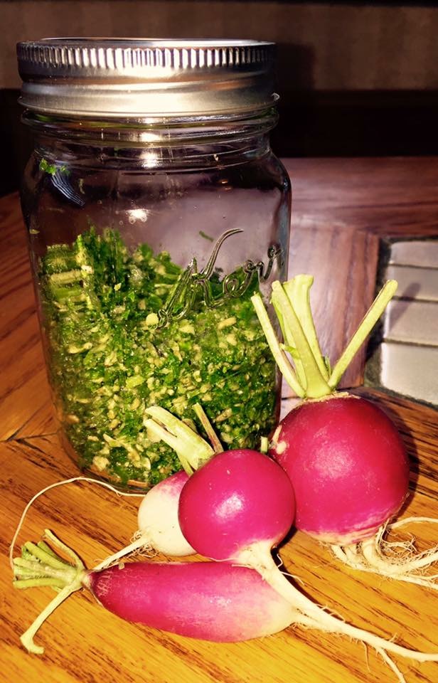 Amy made radish green pesto with last week's share