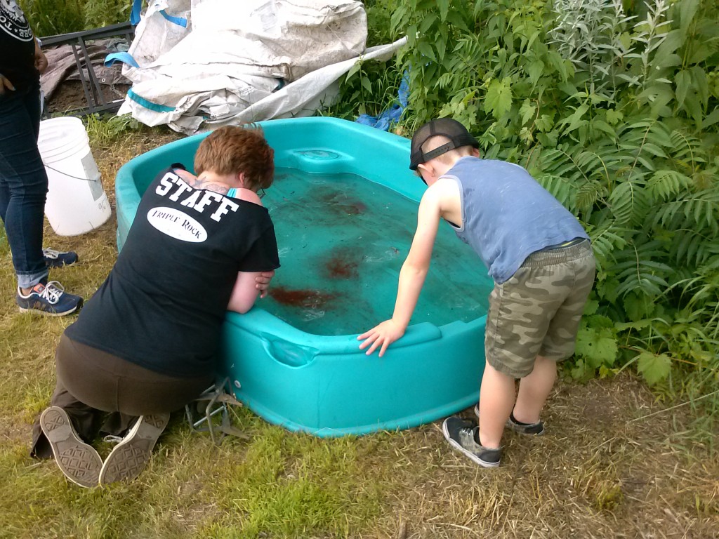 Vickie, Julia, and Smith adding the tadpoles