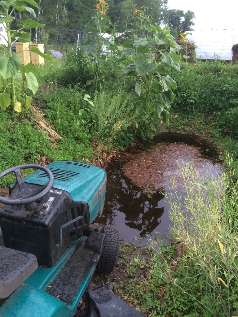 we use the mower to mulch up leaves we stored from last fall, where they get soaked when we get rainstorms and breakdown a bit before we collect them up to use as "browns" in the compost piles