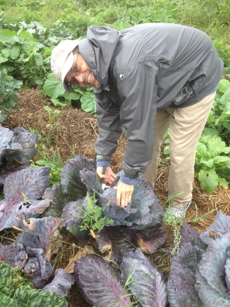 uh oh are his fingertips frozen to the cabbage? (pic thx to Miami April)