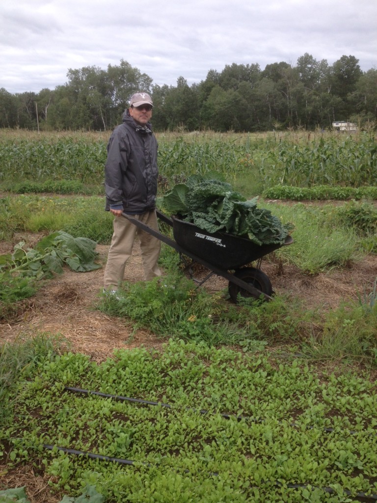 hauling cabbage (pic thanks to Miami April)