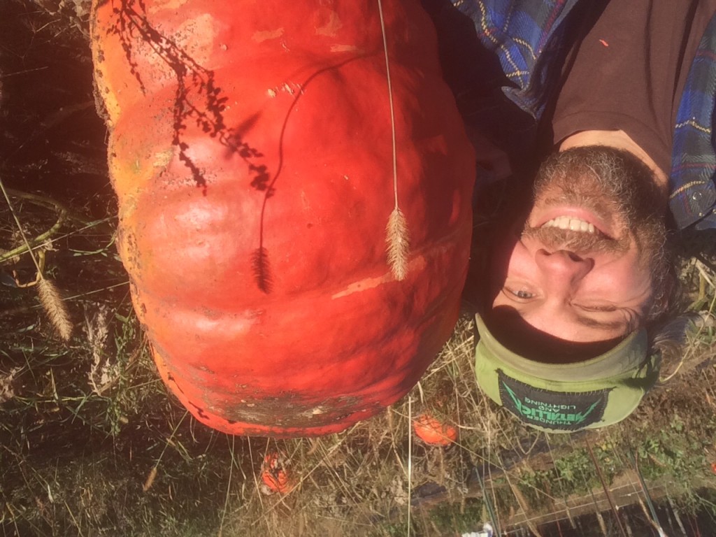 the biggest pumpkin in the patch ....