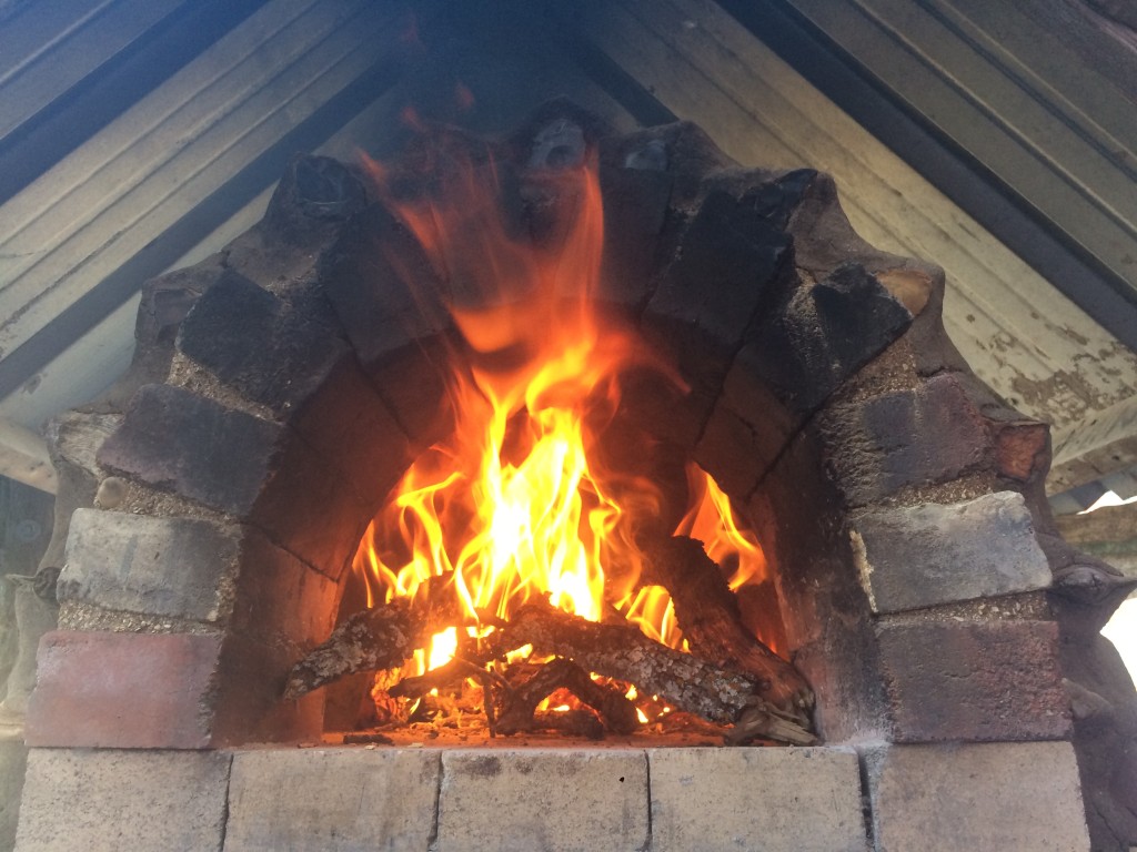 loved eating from the earth oven we built last winter