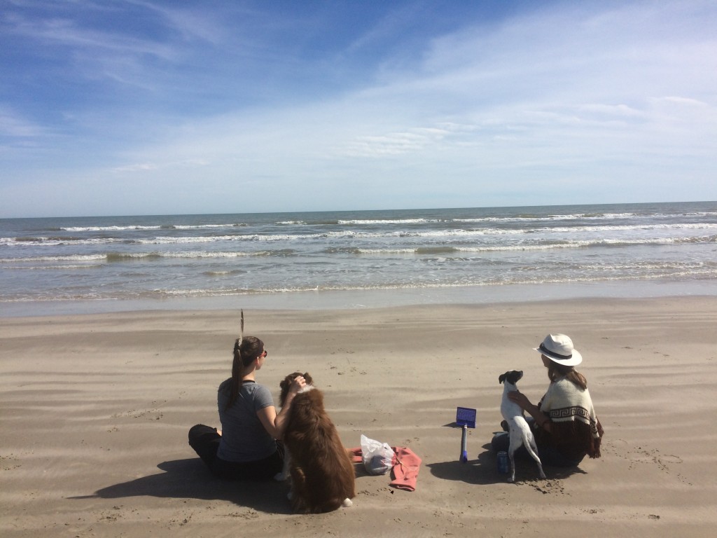 our MN friend Lizzy was visiting nearby Corpus Christi, and showed us a great beach