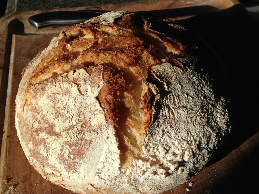 one of several loaves of sourdough that Kristin made