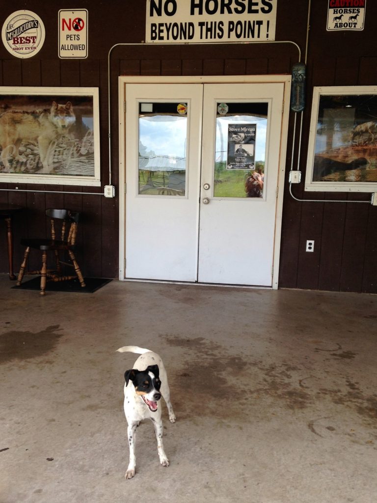 Widget partying at the Wolf Creek Bar