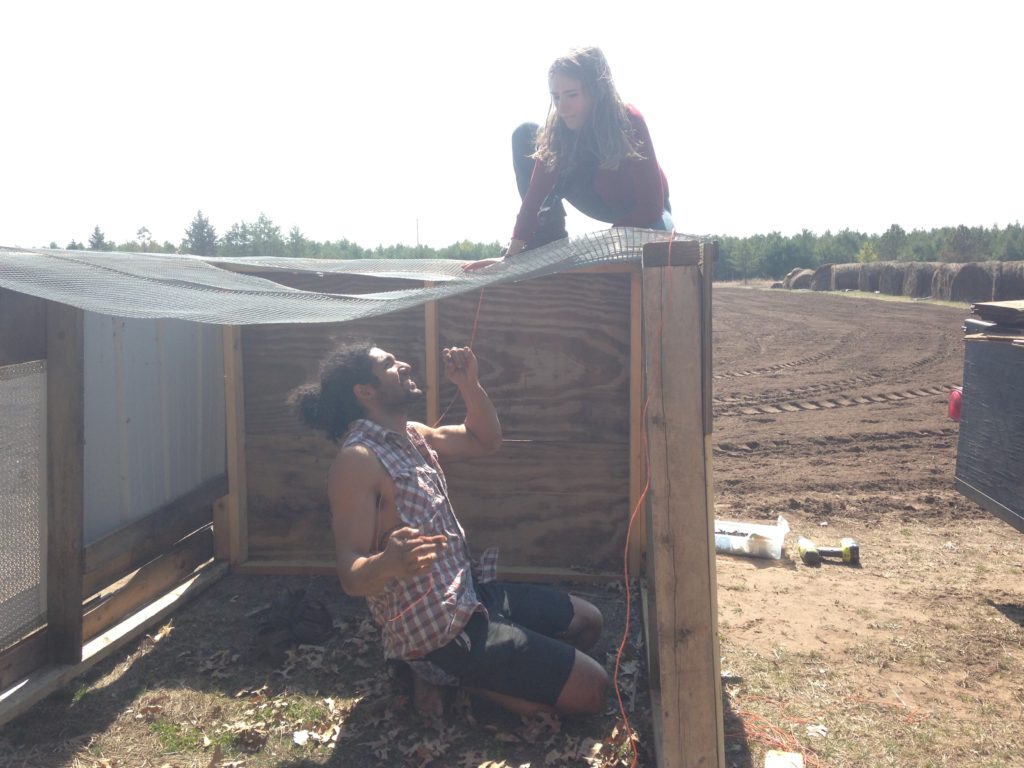 Nora & B help build a second chicken coop to house the 14 free craigslist hens we added to the flock in April