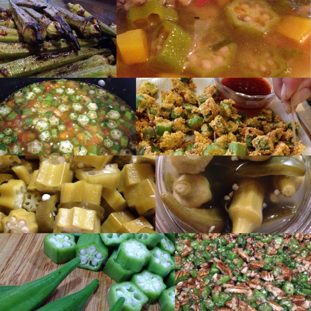 OkraFest at Neighbor Marcia's! Grilled, fried, pickled & fried, gumboed, and ever sugared dessert okra!