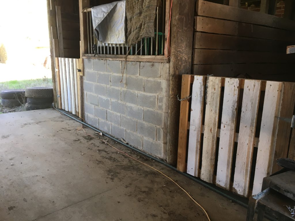 two of the three barn stall gates