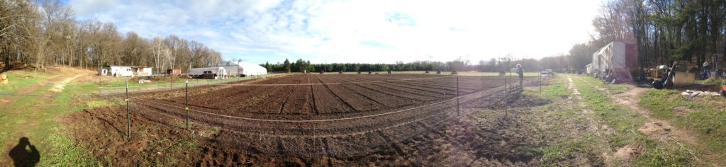 freshly-tilled and ready to rock!