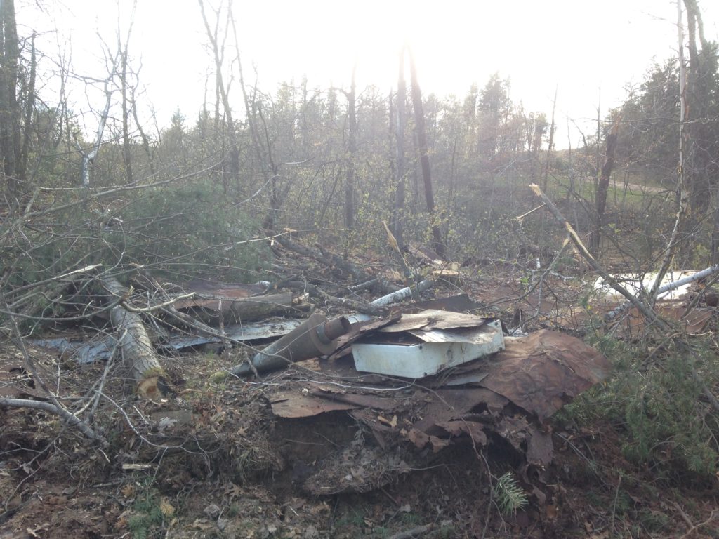 aftermath of the logging crews