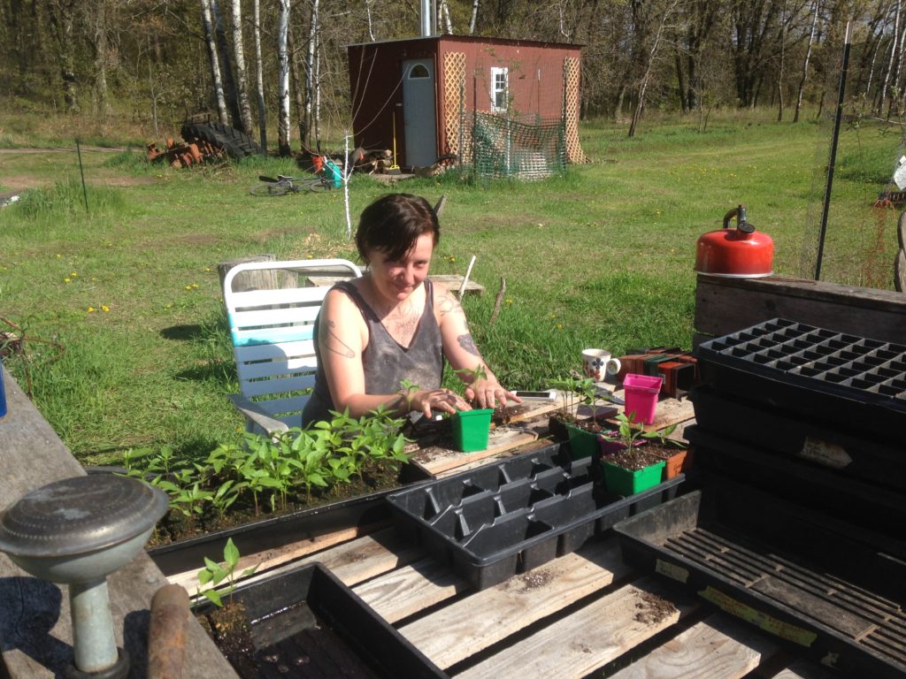 Elden pots up pepper plants