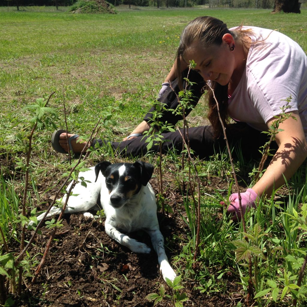 Widget helps weed the raspberry patch