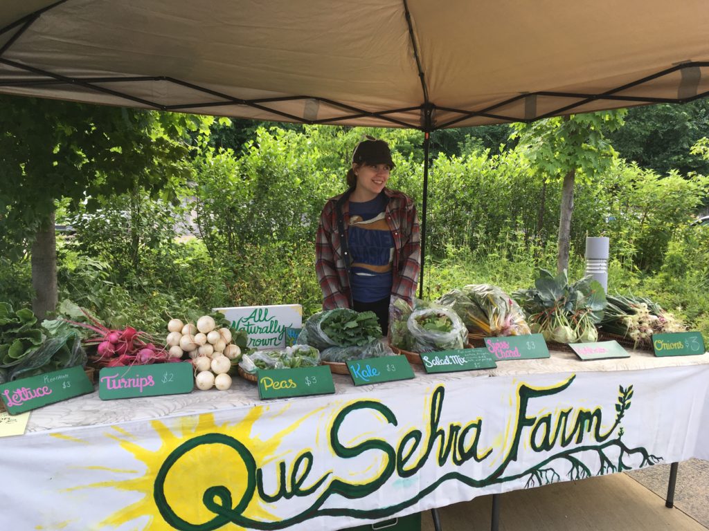 Meg helped Kristin run the market booth in Saint Croix Falls this week while Gabe worked on the root cellar - she's the one who painted all our lovely little signs!