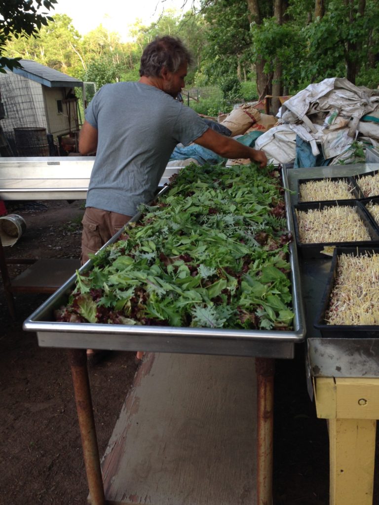 layering the salad mix