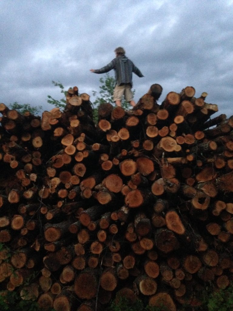 WWOOFer Marty surfs the logging operation's woodpile