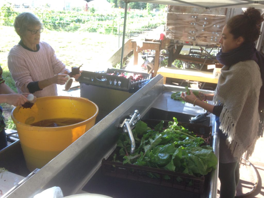 DJs Marcia & Azela work the beets