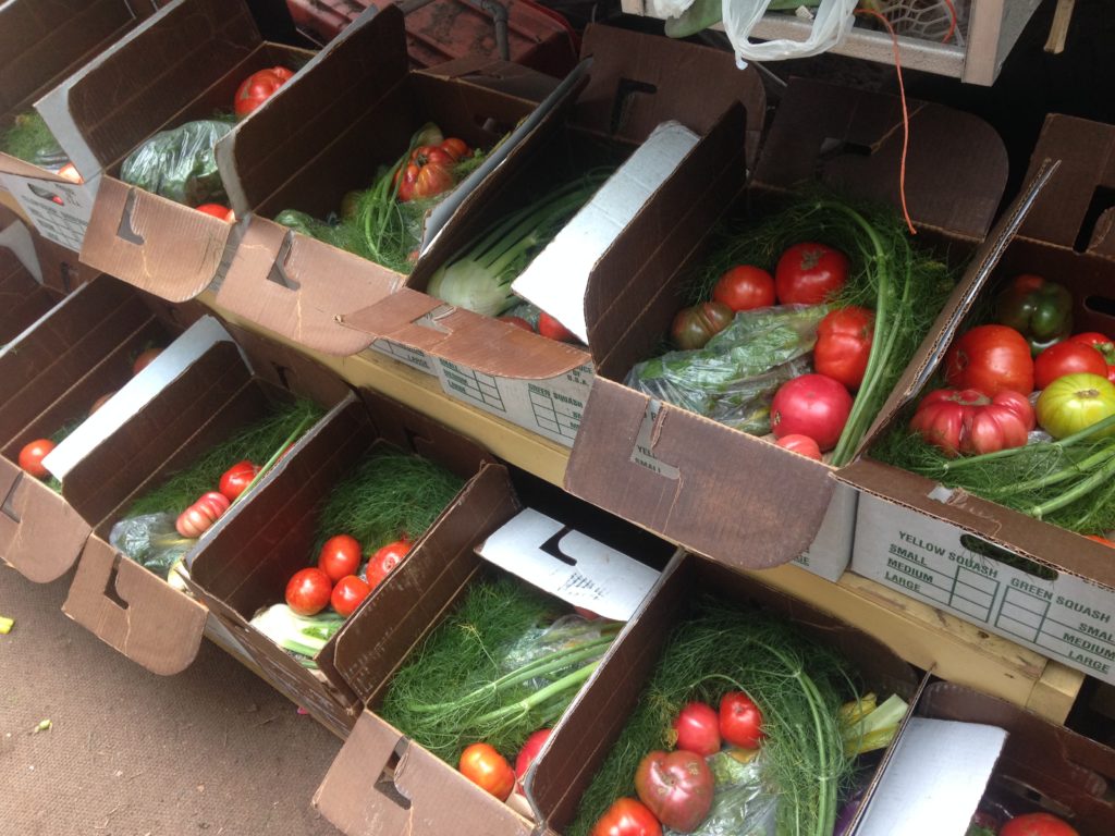 boxes before the basil bags