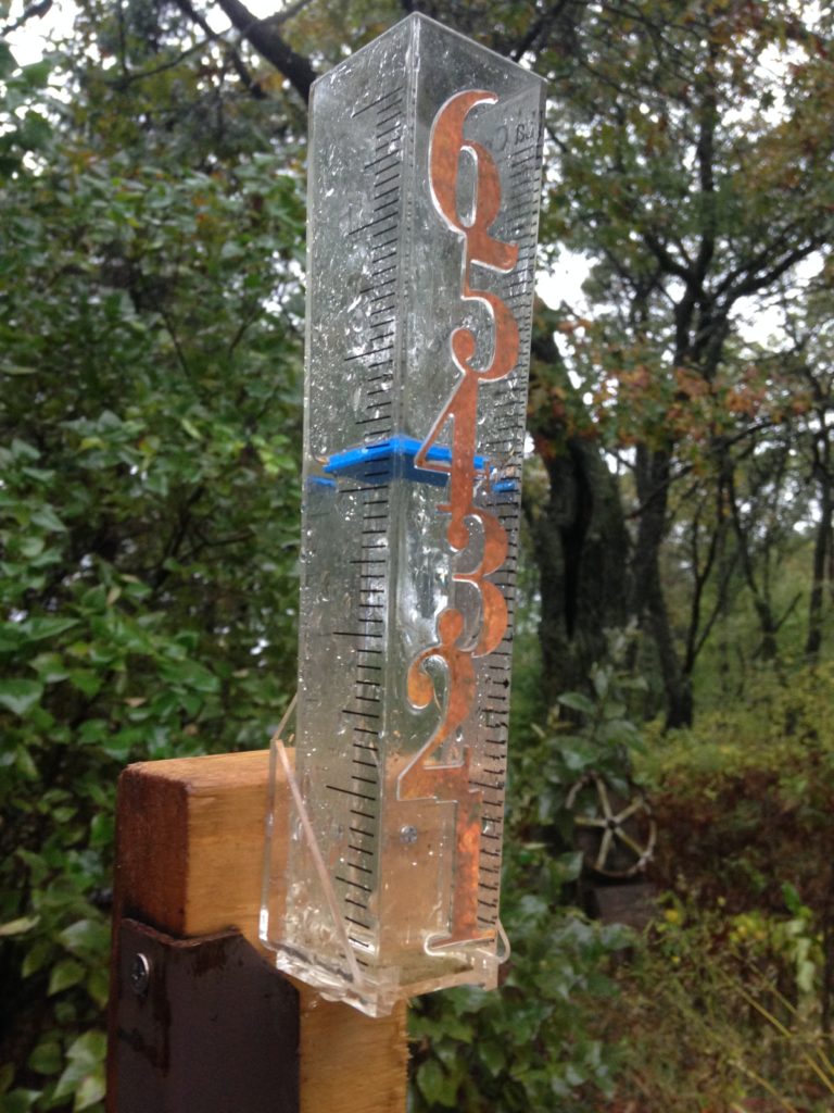 impressive overnight rainfall!